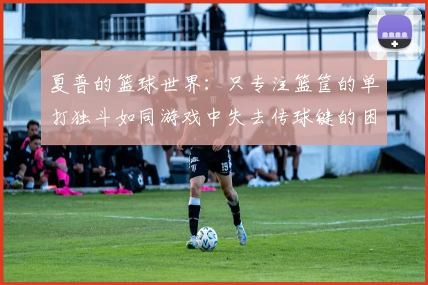 夏普的篮球世界：只专注篮筐的单打独斗如同游戏中失去传球键的困境