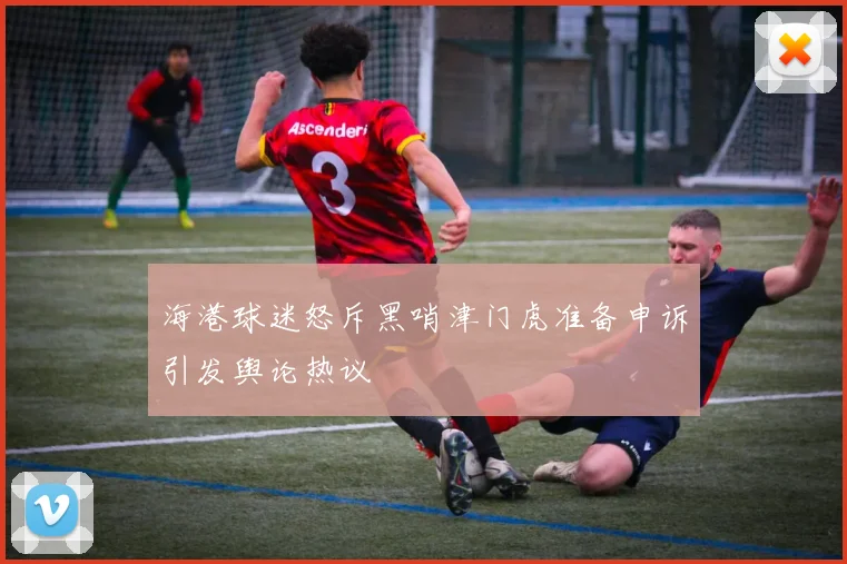 海港球迷怒斥黑哨津门虎准备申诉引发舆论热议